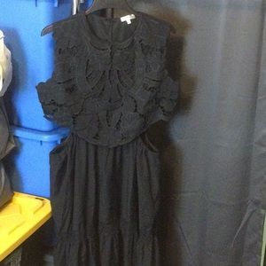 Rose velvet dress 1X